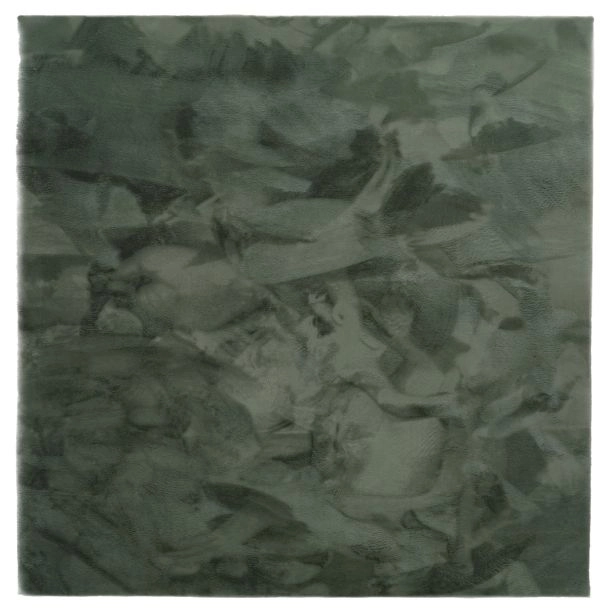 Vierkant Cat Groen Wasbaar Pelskleed